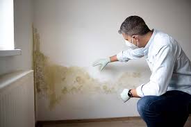 Why You Should Choose Our Mold Remediation Services in Kearns, UT